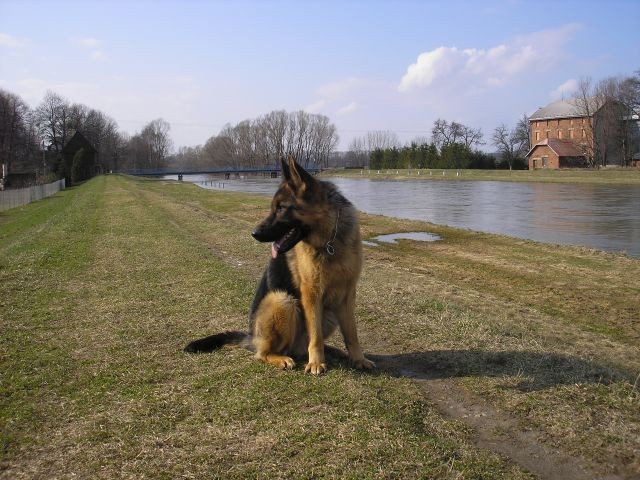 Artu�