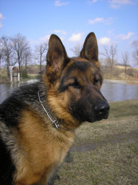 Artu�