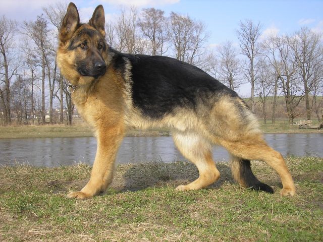 Artu�
