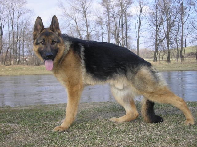 Artu�
