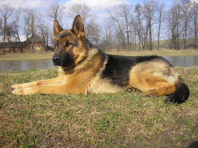 Artu�
