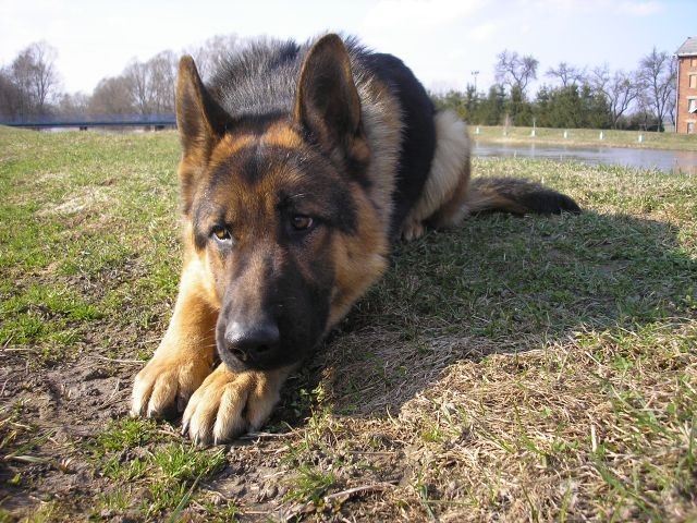 Artu�