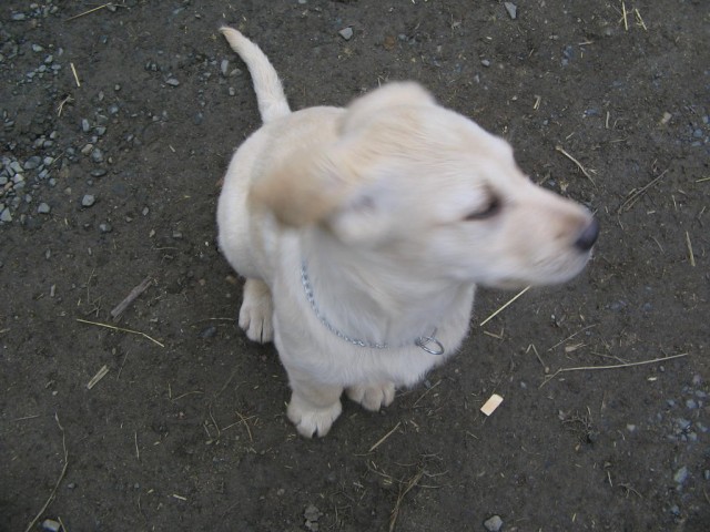 Nesly��m :)