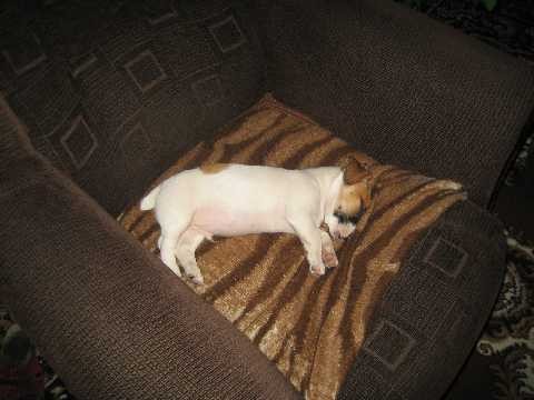 spink�m...