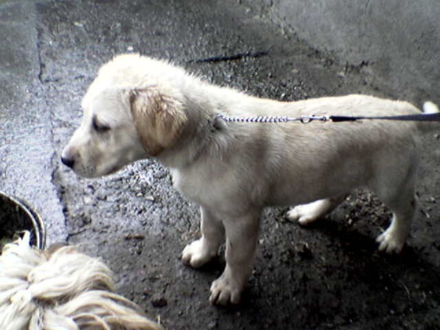 J�dlo!!!