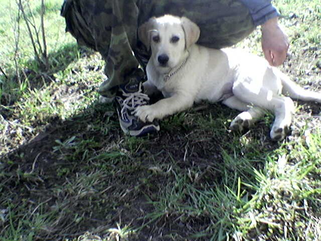 V�ude dob�e...u p�n��ka nejl�p