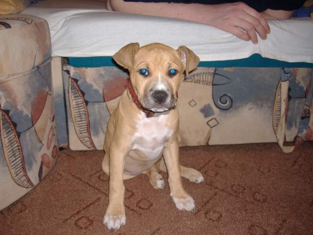 a takhle vypad�m,kdy� chci sp�t:)