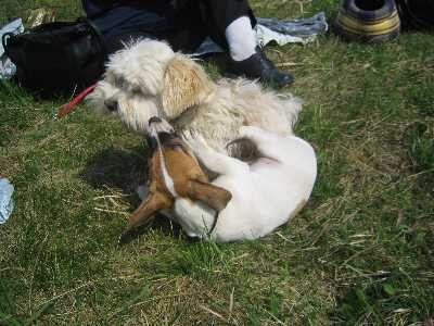 pranice s Fredym ze ps� �kolky