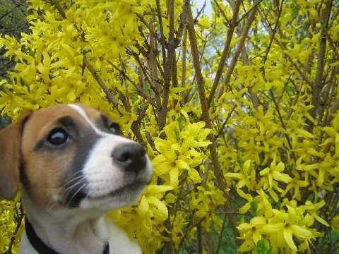 jarn� momentka