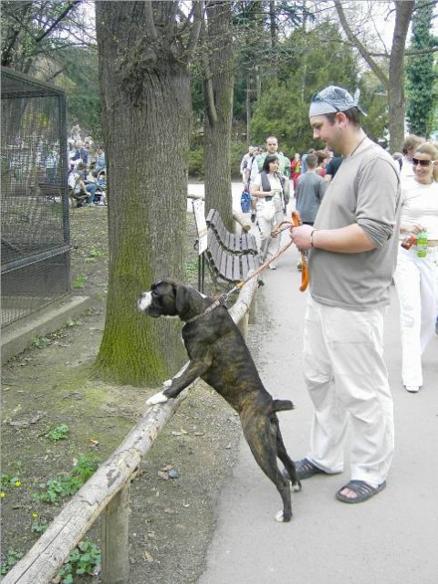 S p�n��kem v ZOO