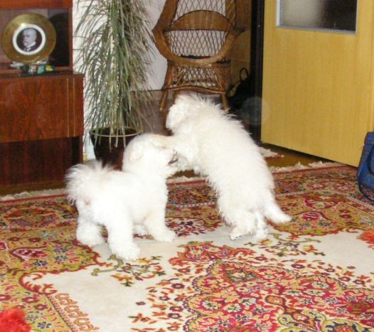 Sraz bi�onk� 6