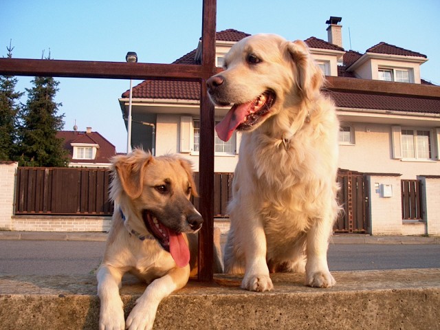 Moje �t�st��ka
