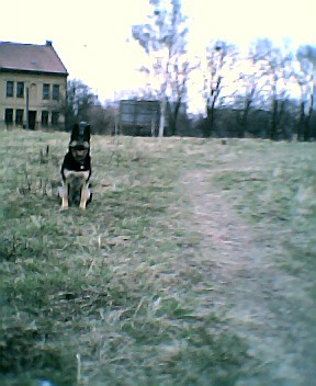 Jeden z povel�,kter� u� um�m