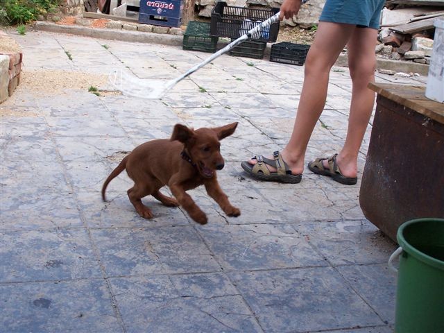 vypad�m jak "str��ek Fido"