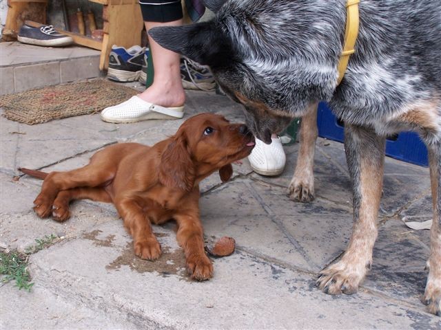 Taky ti d�m pusu