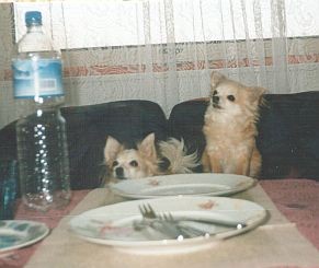 �okinka a Barinka