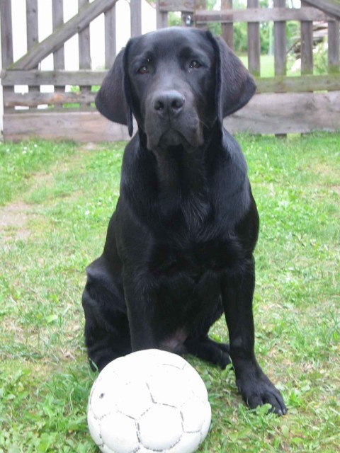 Jon�k fotbalista