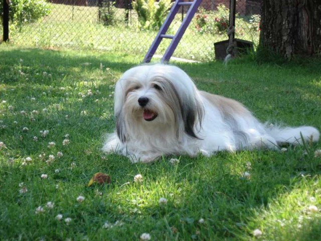 na�e princezna