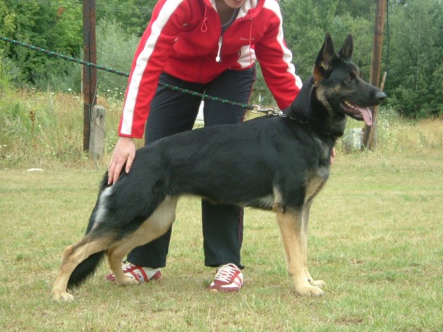 Chiru�ka 1 rok