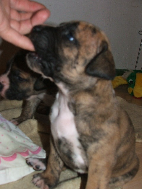 prst�ky jsou dobr� :o)