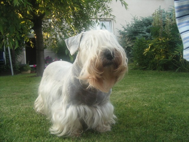 Dej mi n�co...