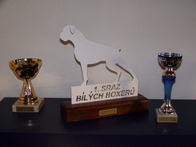 Trofeje ze srazu b�l�ch boxer�