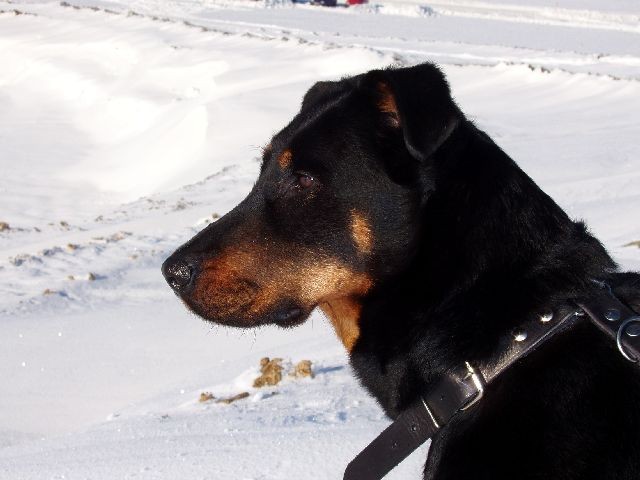 zasn�n���...