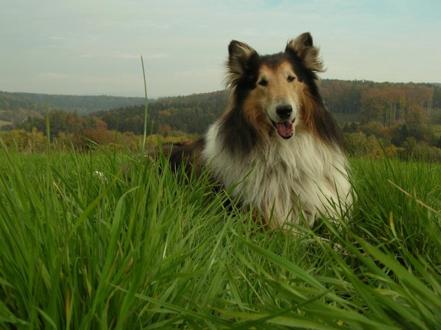 podzimn� vych�zka