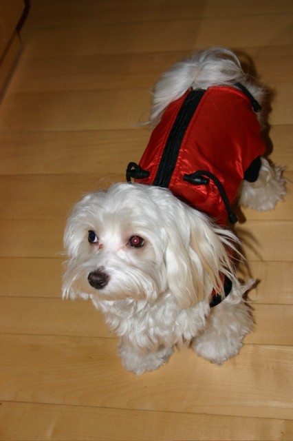 Jsem ost��han� a m�m nov� oble�ek
