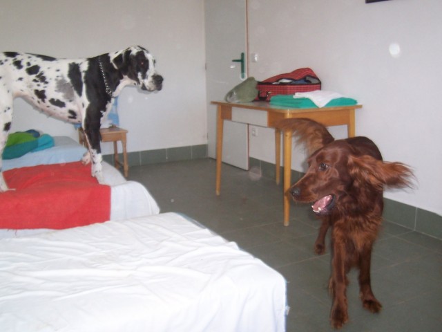 ��d�me po postel�ch
