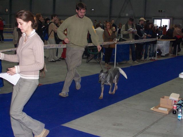 V�stava s p�n��kem - Let�any listopad 2006