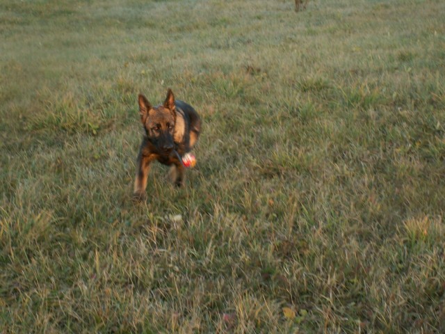 (4,5Mesice) Hezk� podzimn� den