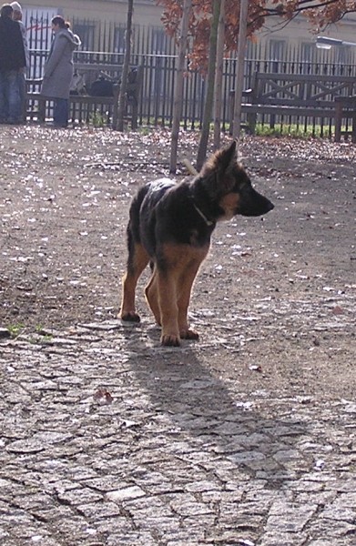 podzimn� proch�zka