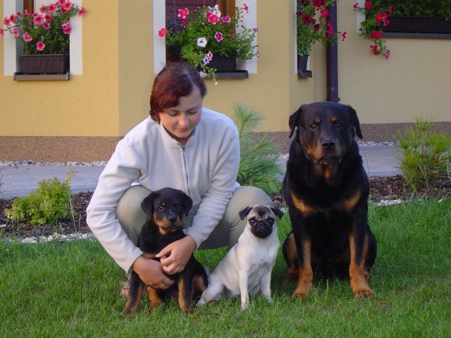 V�ichni