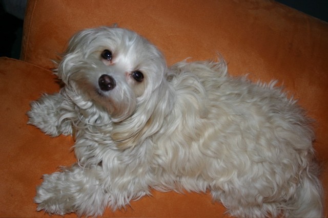 Skoro 11 m�s�c�!
