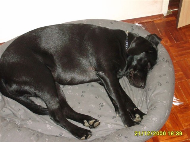 spink�