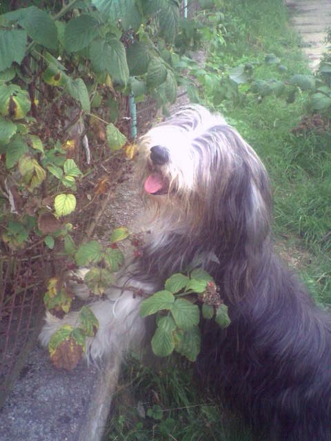 S p��rodou