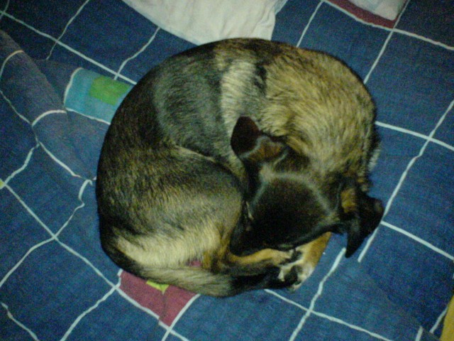J�linka