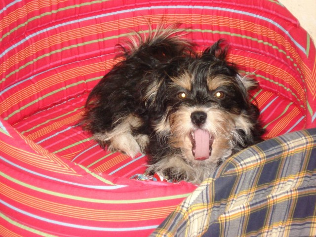 Po dobr�m ob�d� by to cht�lo...