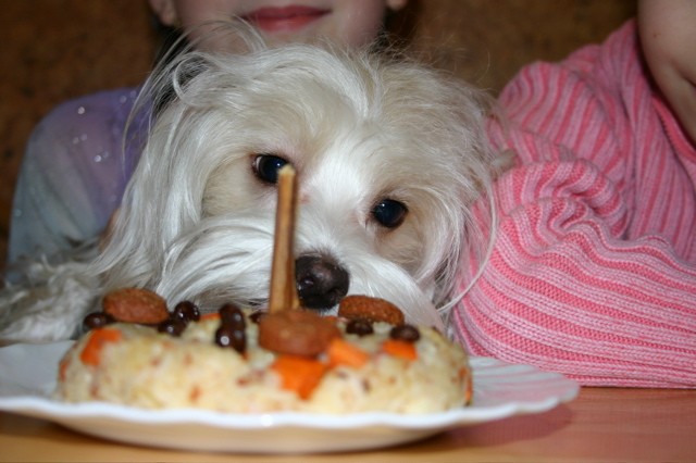 Je mi 1 rok a m�m dort!!