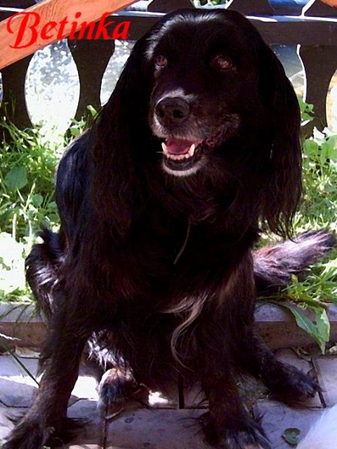 babi�ka Arona