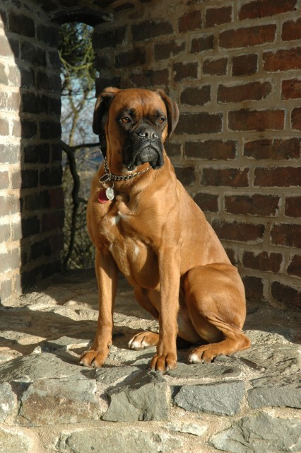 p�zuji :-)