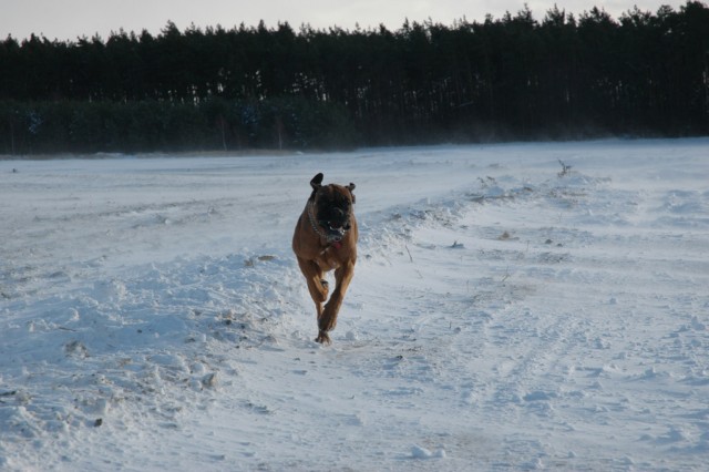 kone�n� sn�h