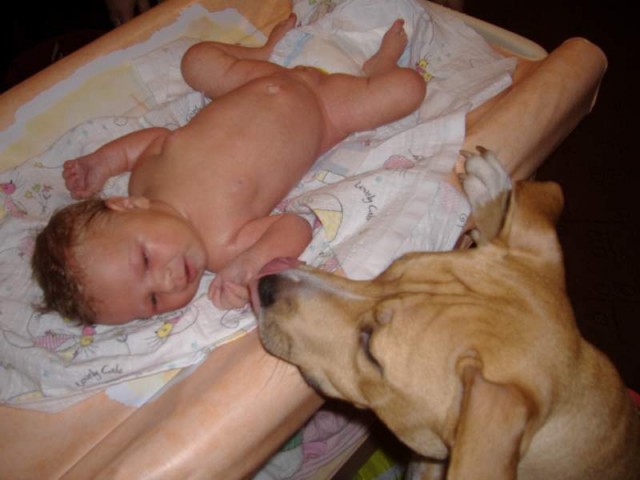 fakt hl�d�