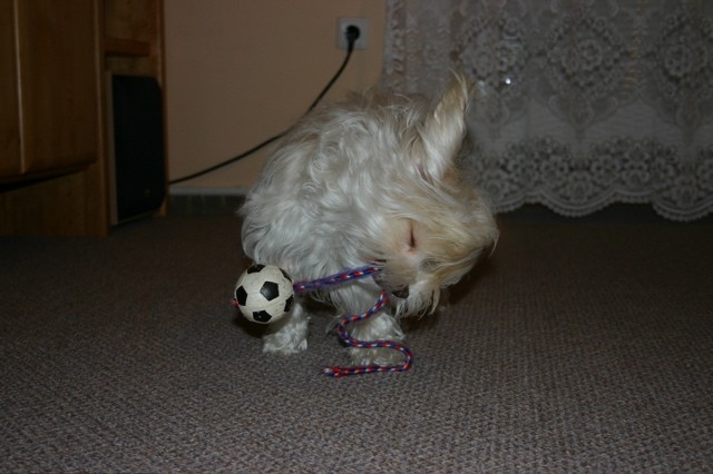 Gweny ��d�