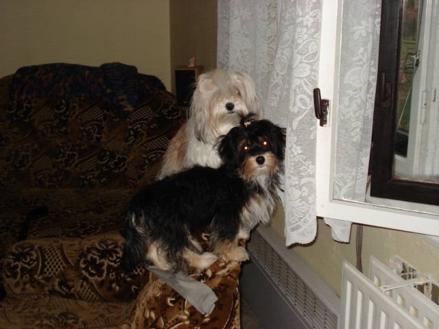 Bella a Becky na str�i