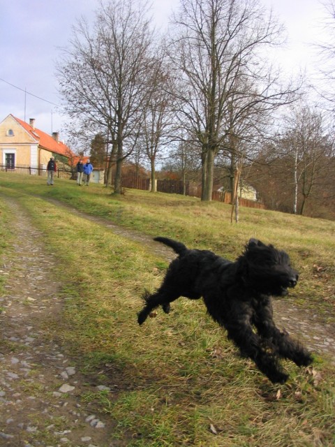 Lov�me balonek