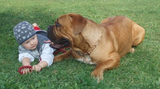 na v�stav�...