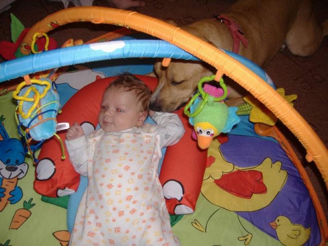 co n�m to koupili?,