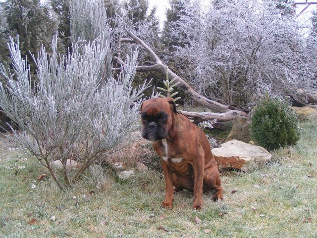 J� se nechci fotit!!!